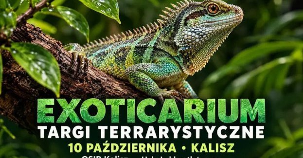 Zapraszamy 10 października 2026 roku do Ośrodek Sportu Rehabilitacji i Rekreacji, Kalisz, ul. Łódzka 19-29.